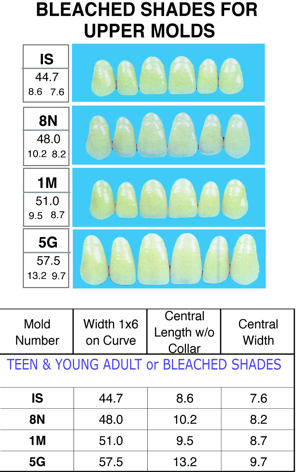 BLEACHED SHADES--Upper Single Pontic