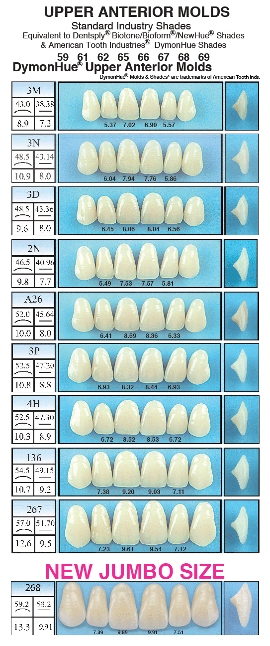 STANDARD SHADES-Upper Single Pontic 