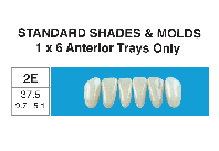 STANDARD SHADES--Lower 1x6 Anteriors Only
