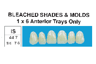 BLEACHED SHADES--Upper 1x6 Anteriors